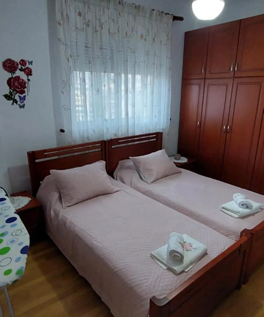 Shehu Guest House Downtownn Αργυρόκαστρο 0*,